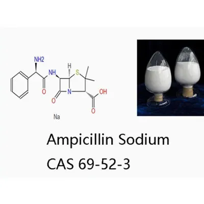 Antibiyotik Veteriner Tıbbı Ampisilin Sodyum Toz CAS 69-52-3
